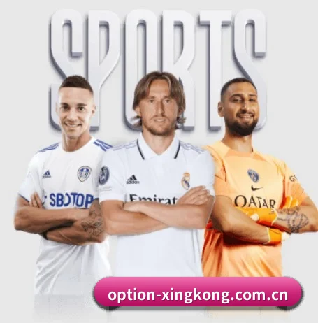 五大服务分区,信息按项目分类 | xingkongtiyu